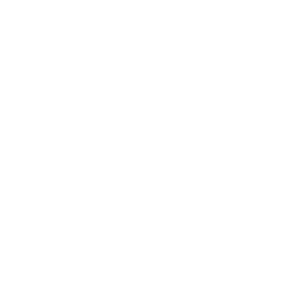 landirenzo